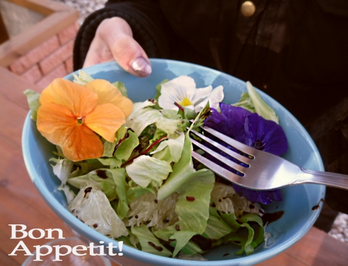 Árvácskás saláta, tyúkhúros főzelék- Ehető virágok a fűszeresben
